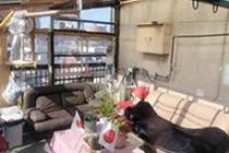 Tokyo Guest House 2020 Luaran gambar
